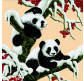 Набір для вишивання Идейка D028 65*65см 14СТ Снігові панди