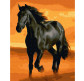 Картина по номер. на холсті 40*50см Никитошка GX32937 Арабський скакун