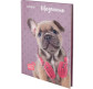 Щоденник шкільний Kite мод 262 Studio Pets SP20-262-2