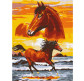 Картина по номер. на холсті 30*40см Никитошка EX6095 Конячі мрії