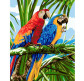 Картина по номер. на холсті 40*50см Никитошка GX22339 Папуги Ара