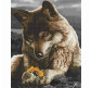 Картина по номер. на холсті 40*50см з элементами мозаїки Никитошка GZS1078 Вовк та квітка