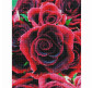 Алмазна мозаїка по номерам на холсті 40*50см Никитошка GF4113 Червоні троянди