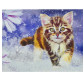 Алмазна мозаїка по номерам на холсті 30*40см Josef Otten GB70179 Кішка