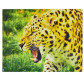 Алмазна мозаїка по номерам на холсті 30*40см Josef Otten GB70074 Гепард