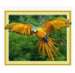Алмазна мозаїка по номерам на холсті з 3D ефектом 40*50см Josef Otten ELT0069 Політ папуги