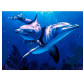 Алмазна мозаїка по номерам на холсті з 3D ефектом 40*50см Josef Otten ELT0007 Дельфіни