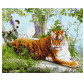 Картина по номер. на холсті 40*50см Никитошка GX36523 Амурський тигр