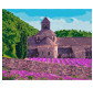 Картина  по номер. на холсті 40*50см Идейка КН2292 Аромат лаванди
