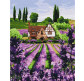 Картина  по номер. на холсті 40*50см Идейка КН2293 Лавандовий будиночок