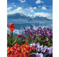 Картина  по номер. на холсті 40*50см Идейка КН2278 Квітковий рай