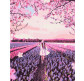 Картина по номер. на холсті 40*50см Никитошка GX38260 Прогулянка по лавандовому полю