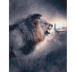 Картина по номер. на холсті 40*50см Никитошка GX38329 Лев і людина