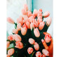 Картина по номер. на дереві 40*50см ЛИДЕР 5573 Букет тюльпанів