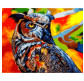 Картина по номер. на холсті 40*50см Бебилон Турбо VP1347 Райдужна сова