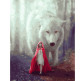 Картина по номер. на холсті 40*50см Никитошка GX40188 Червона шапочка під охороною