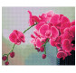 Алмазна мозаїка по номерам на холсті 40*50см Никитошка GJ5230 Орхідея