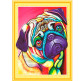Алмазна мозаїка по номерам на холсті 40*50см ЛИДЕР 208 Яскравий мопс