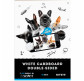 Картон білий А4 10арк KITE мод 254 Dogs K22-254