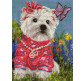 Алмазна мозаїка по номерам на холсті 30*40см Никитошка EJ393 Пухнаста красуня