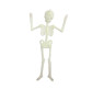 Хеловін Іграшка для Halloween Скелет фосфорний. 33см (середній) 23-109