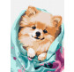 Картина по номер. на холсті 30*40см Идейка КН6545 Щасливий шпіц