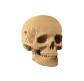 Конструктор 3D пазл Cartonic Cartskull Skull 11,7*10,1*16,6см