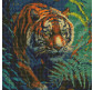 Алмазна мозаїка по номерам на холсті 40*40см Идейка АМО7695 Повелитель джунглів