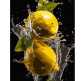 Картина по номер. на холсті 40*50см Strateg чорний холст AH1008 Яскраві лимони