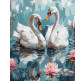 Картина  по номер. на холсті 40*50см Идейка КН6620 Закохані лебеді