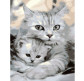 Картина по номер. на холсті 40*50см Strateg GS1005 Кішка та кошеня
