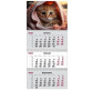 Календар настінний квартальний 2025 Axent на 3 спиралі 29,7*63см 8803-25-14-A Cats 2