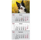 Календар настінний квартальний 2026 Axent на 3 спиралі 29,7*63см 8803-26-18-A Dogs 3