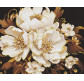 Алмазна мозаїка по номерам на холсті 40*50см Идейка АМО8006 Біла ніжність з АВ стразами