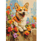 Картина по номер. на холсті 30*40см Идейка КН6616 Коргі в квітах