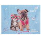 Нотний зошит Kite  А5 20арк Studio Pets SP26-405